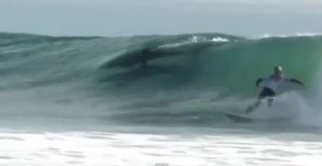 ΒΙΝΤΕΟ-Ένα δελφίνι σε αγώνες σερφ