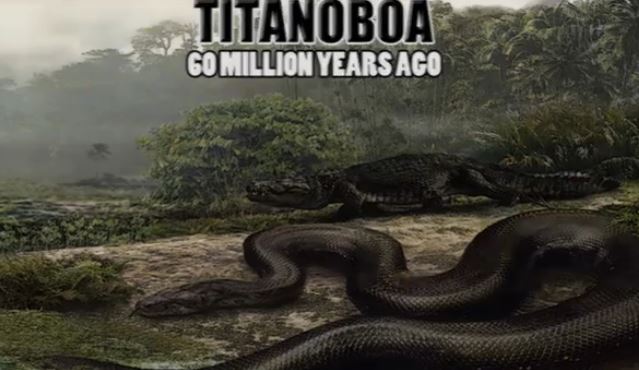 ΒΙΝΤΕΟ-Τα δέκα μεγαλύτερα ζώα στην ιστορία