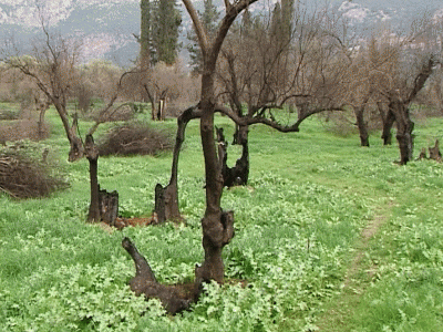 BINTEO-Εγκαταλελειμμένο μνημείο της UNESCO