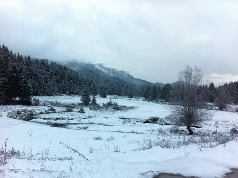 ΦΩΤΟ-«Το έστρωσε» στα Τρίκαλα