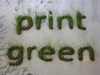 ΒΙΝΤΕΟ-Ο «πράσινος» 3D εκτυπωτής