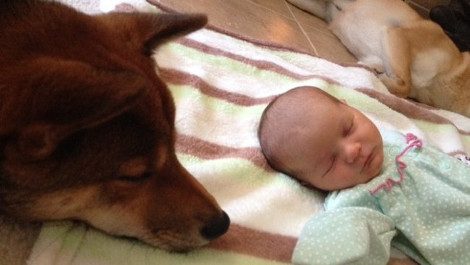 ΦΩΤΟ-Η αφοσίωσή του «λιώνει» το Ίντερνετ