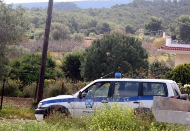 Συνελήφθη για κλοπή μελισσών