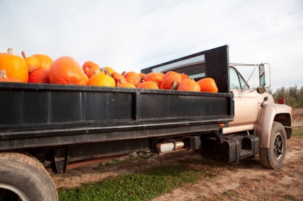 Με ποιους τρόπους συνεισφέρουμε στο φαινόμενο του θερμοκηπίου