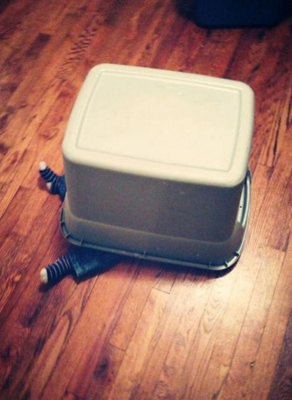 perierga.gr - Μικροί… πρωταθλητές στο κρυφτό!