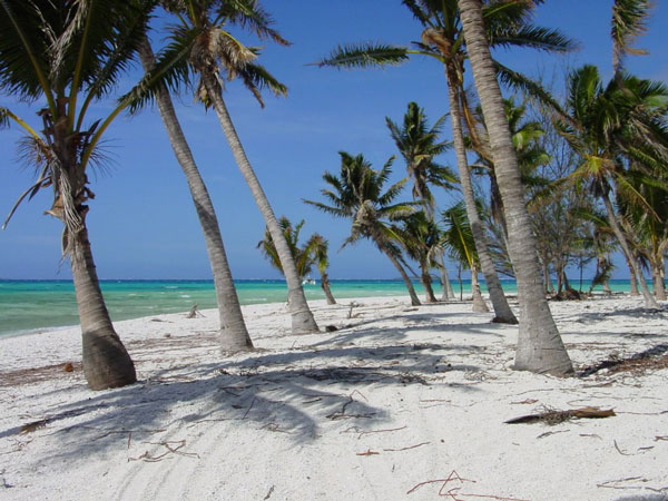 perierga.gr - Palmerston: To νησί που βρίσκεται στο τέλος της Γης! perierga.gr - Palmerston: To νησί που βρίσκεται στο τέλος της Γης!