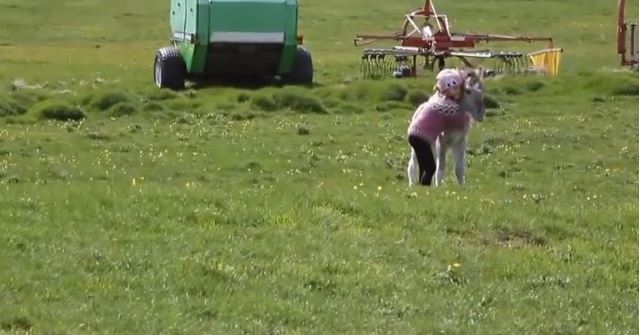 ΒΙΝΤΕΟ-Μια ιστορία σαν παραμύθι