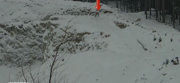 ΒΙΝΤΕΟ-Τύχη βουνό…