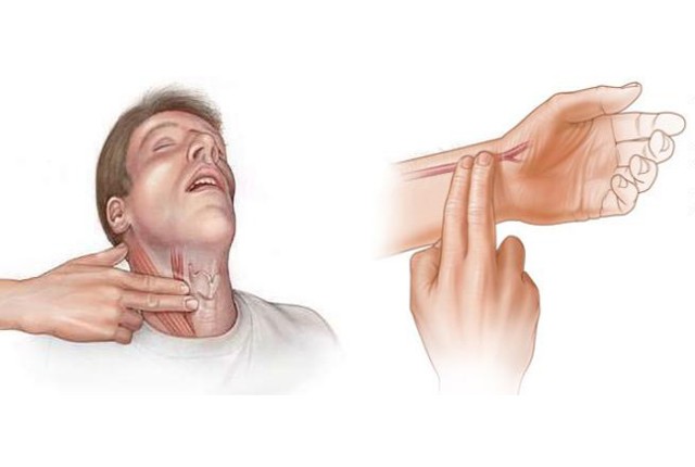 Ο σωστός τρόπος για την μέτρηση του σφυγμού