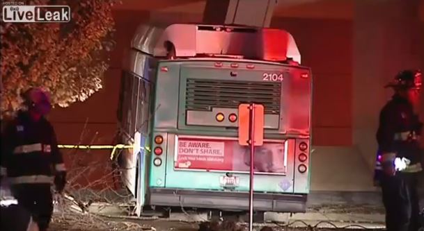 BINTEO-Λεωφορείο έπαιξε… μπόουλινγκ με δέντρα