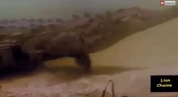 Καρέ καρέ η επίθεση κροκόδειλου σε γκνου