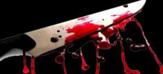 Έκοψε τα αυτιά του ανιψιού της