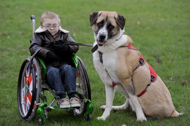 ΒΙΝΤΕΟ-Ένας σκύλος του άλλαξε τη ζωή