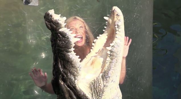 ΒΙΝΤΕΟ-Τα σαγόνια του κροκόδειλου σε αργή κίνηση