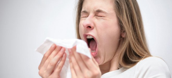 Το… «αψού» στις άλλες γλώσσες