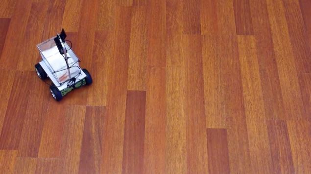 ΒΙΝΤΕΟ-Το χρυσόψαρο κάνει βόλτα τη… γυάλα