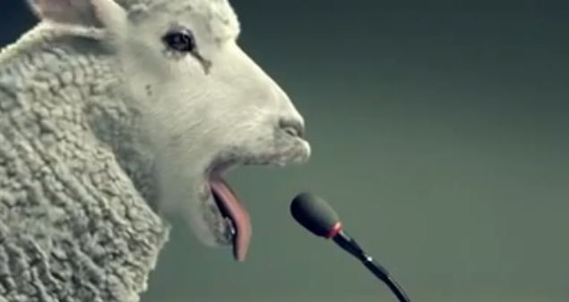 ΒΙΝΤΕΟ-Το ελβετικό ρολόι και το πρόβατο