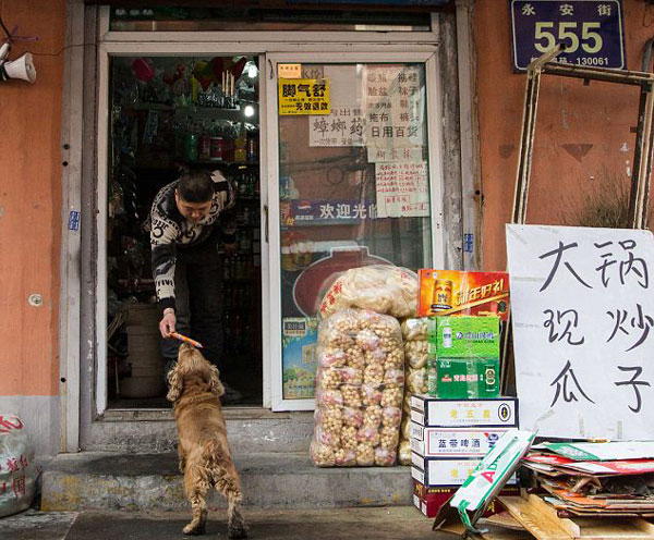 perierga.gr - Πανέξυπνος σκύλος πηγαίνει για... ψώνια! perierga.gr - Πανέξυπνος σκύλος πηγαίνει για... ψώνια!