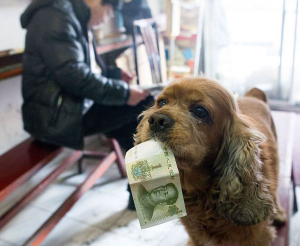 perierga.gr - Πανέξυπνος σκύλος πηγαίνει για... ψώνια! perierga.gr - Πανέξυπνος σκύλος πηγαίνει για... ψώνια!