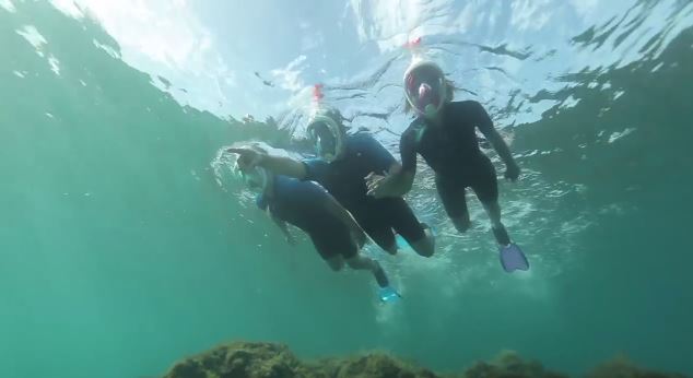 ΒΙΝΤΕΟ-Πρωτοποριακή μάσκα βυθού