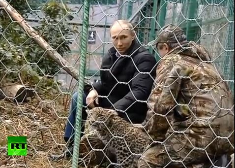 ΒΙΝΤΕΟ-Σε κλουβί με λεοπαρδάλεις μπήκε ο Πούτιν