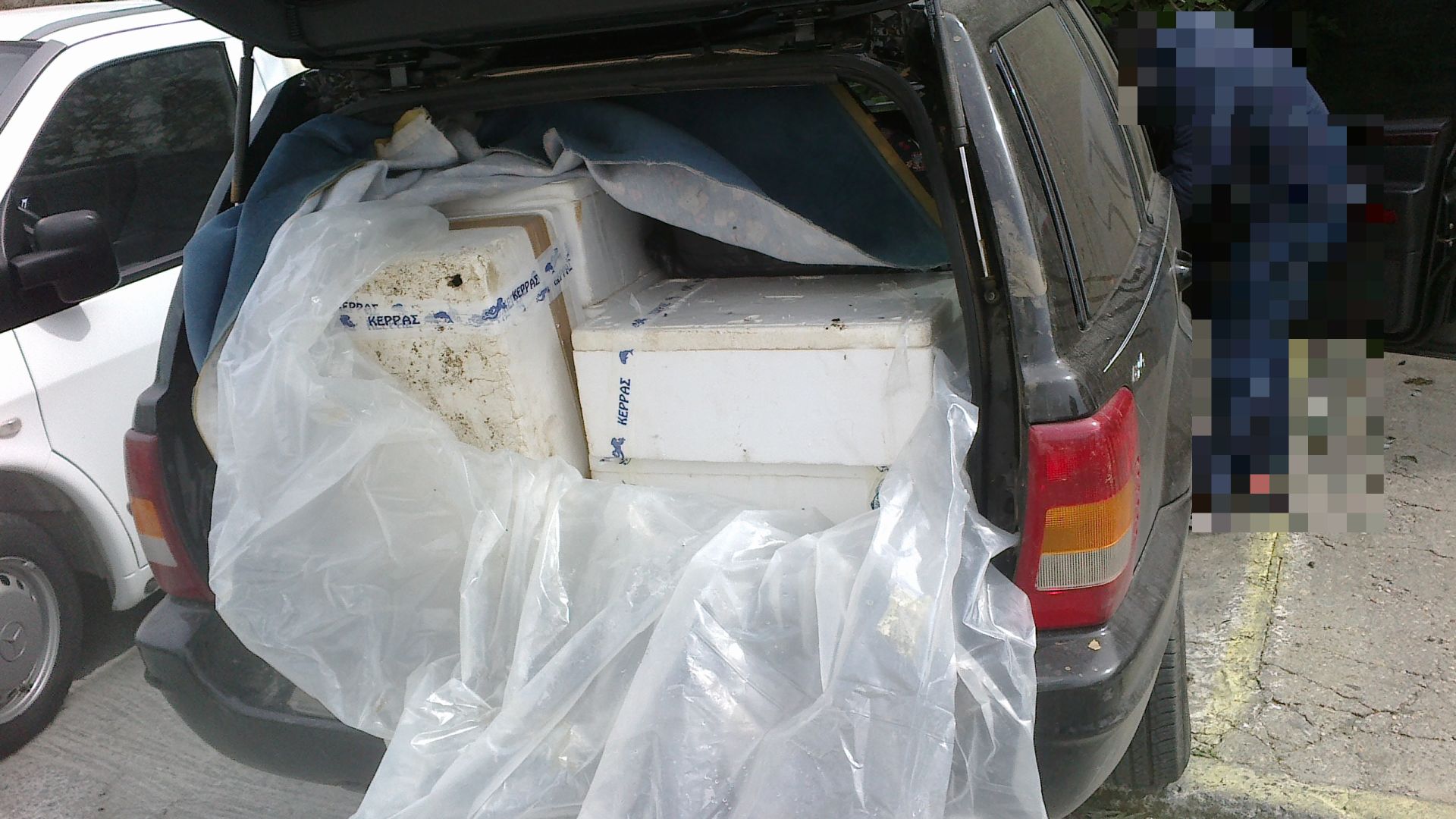 ΦΩΤΟ-Τα ψάρια στο τζιπ ήταν… παράνομα