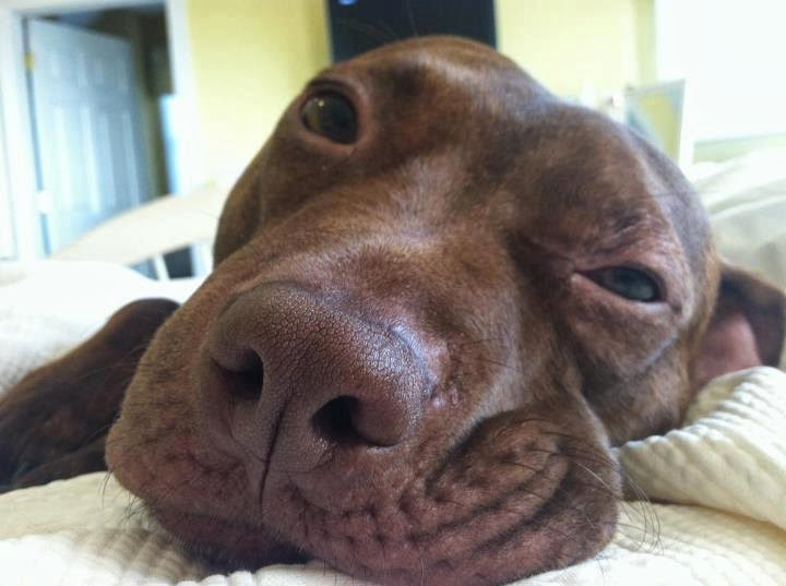 Η συγκλονιστική ιστορία του Patrick σε 27 φωτογραφίες