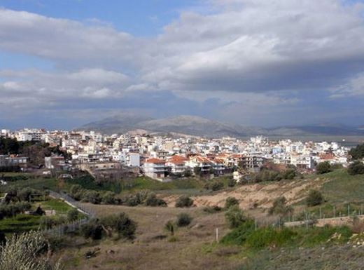 Στην εκκλησία άφησε την τελευταία της πνοή