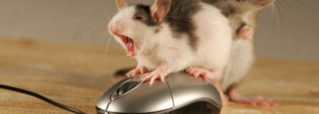 Πως πήραν τα ονόματά τους πασίγνωστοι τεχνολογικοί όροι