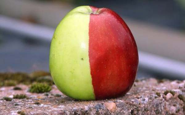 ΒΙΝΤΕΟ-Δεν θα πιστεύετε πόσο γρήγορα μπορεί να ξεφλουδίσει ένα μήλο