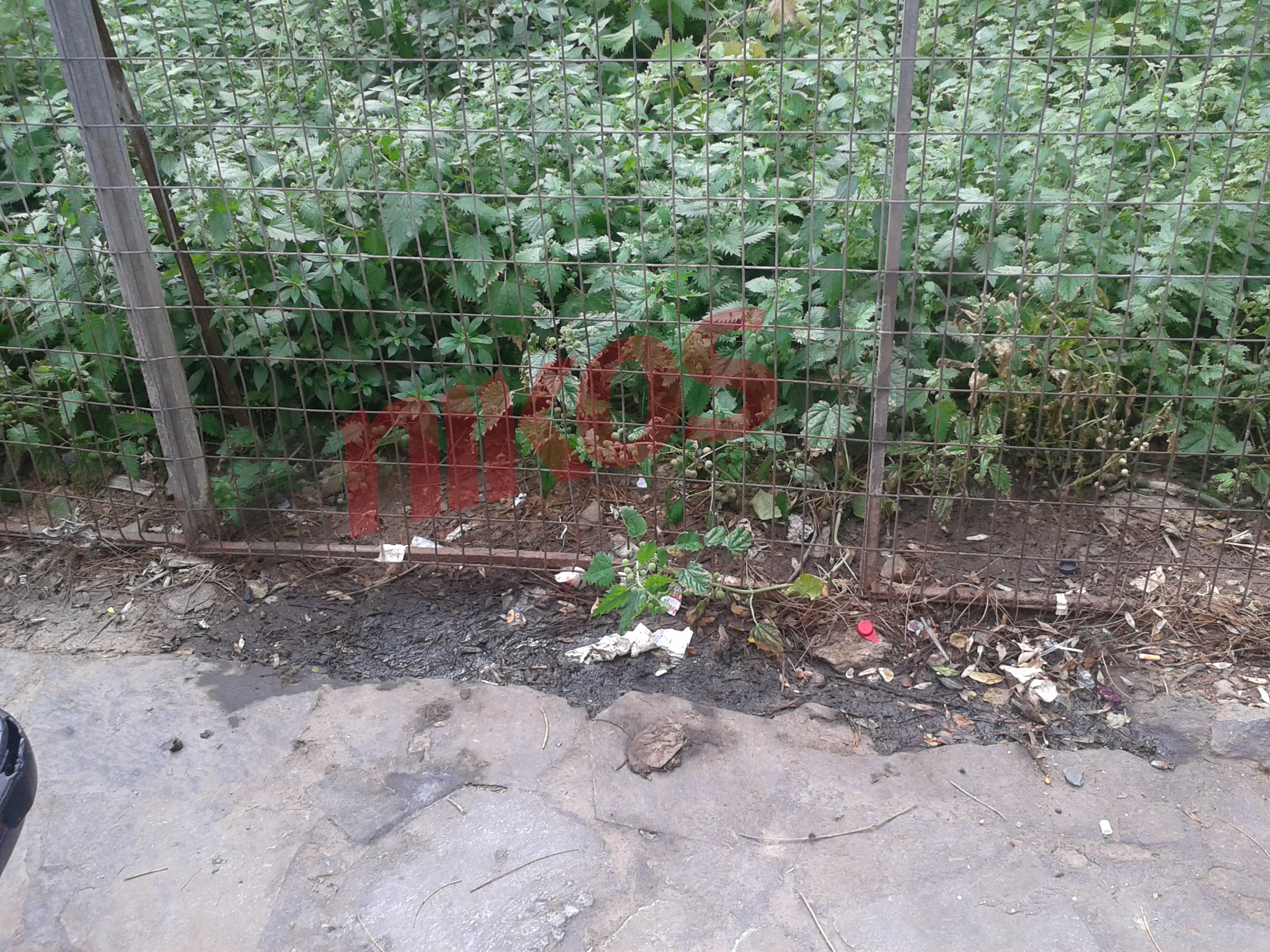 ΦΩΤΟ-Σύριγγες και περιττώματα σε πεζόδρομο που παίζουν παιδιά