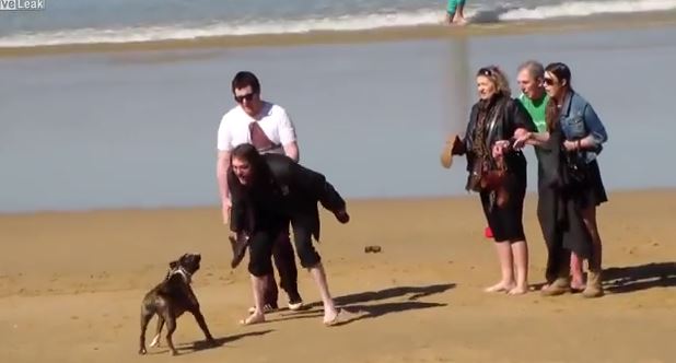 ΒΙΝΤΕΟ-Σκύλος σπέρνει τον πανικό σε παραλία