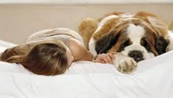 ΒΙΝΤΕΟ-Κατοικίδια «καλωσορίζουν» μωράκια