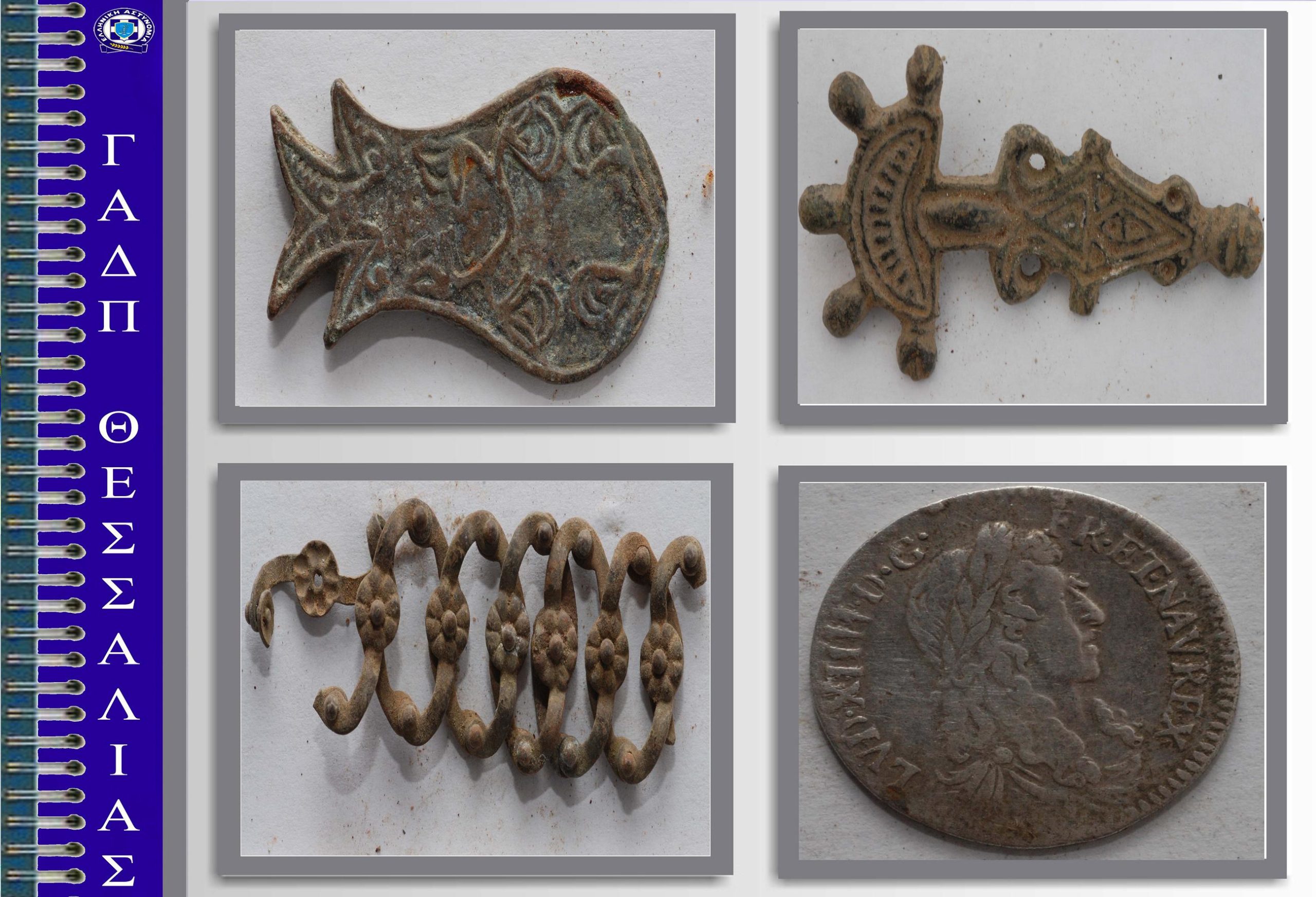 ΒΙΝΤΕΟ-Συνέλαβαν αρχαιοκάπηλο στην Ελασσόνα