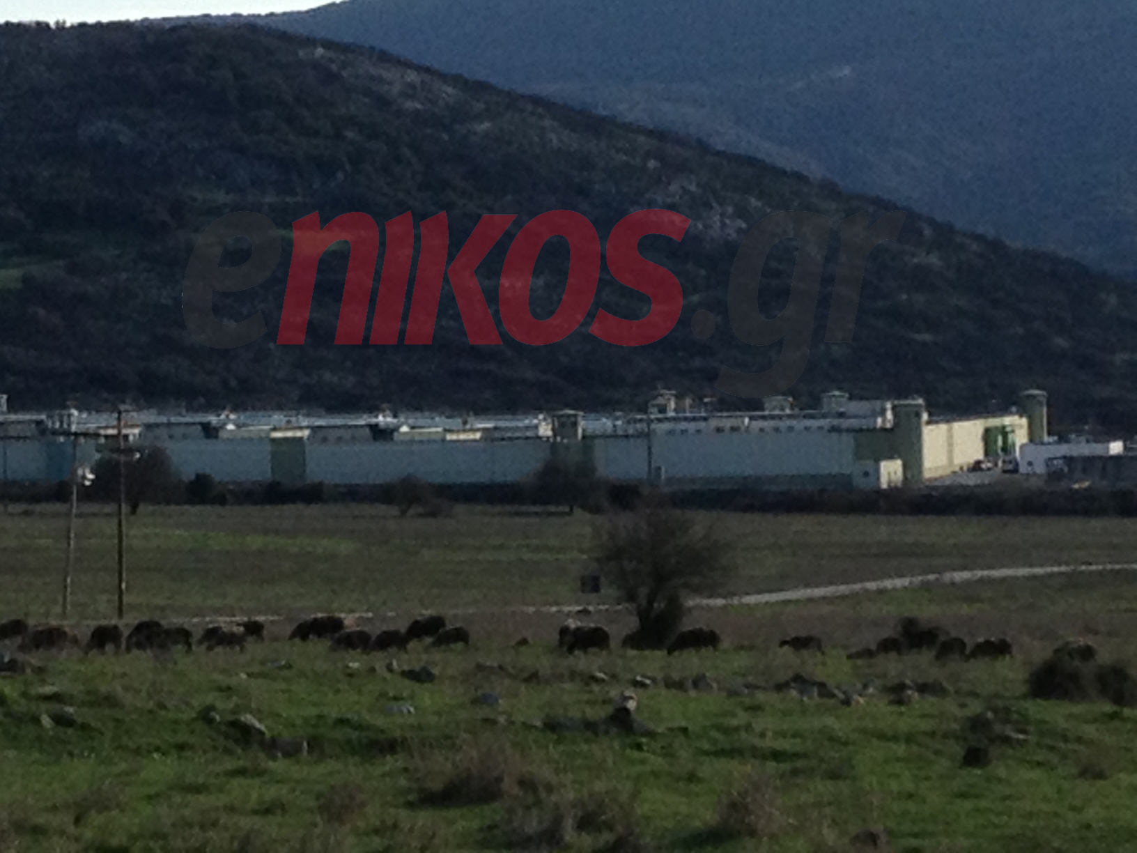 Σωφρονιστικοί Μαλανδρίνου:«Δυστυχώς επιβεβαιωθήκαμε»