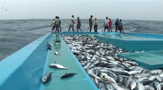 ΒΙΝΤΕΟ-Ψαρεύοντας τόνους στις Μαλδίβες