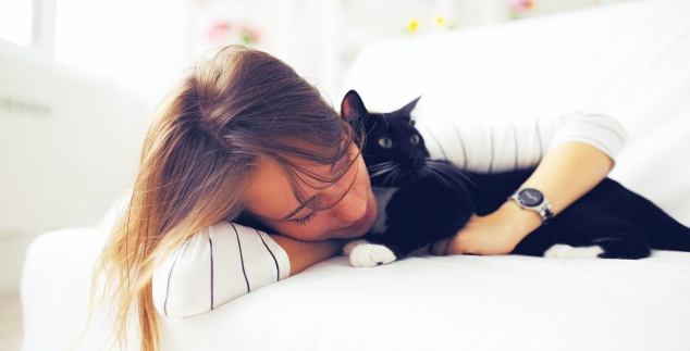 Το “λεξικό” μιας γάτας