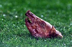 Τα 10 πιο απίθανα αντικείμενα που έχουν πέσει σε ποδοσφαιρικά γήπεδα