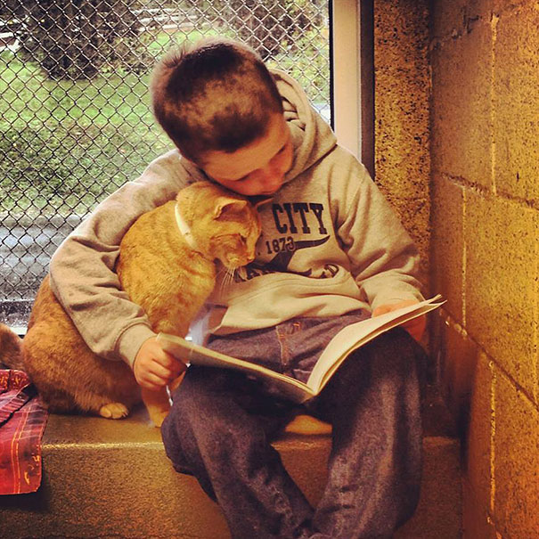 ΦΩΤΟ-Παιδιά διαβάζουν παραμύθια σε γάτες