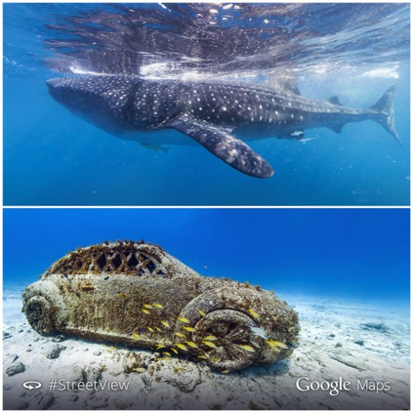 Η Google «έπιασε» βυθό