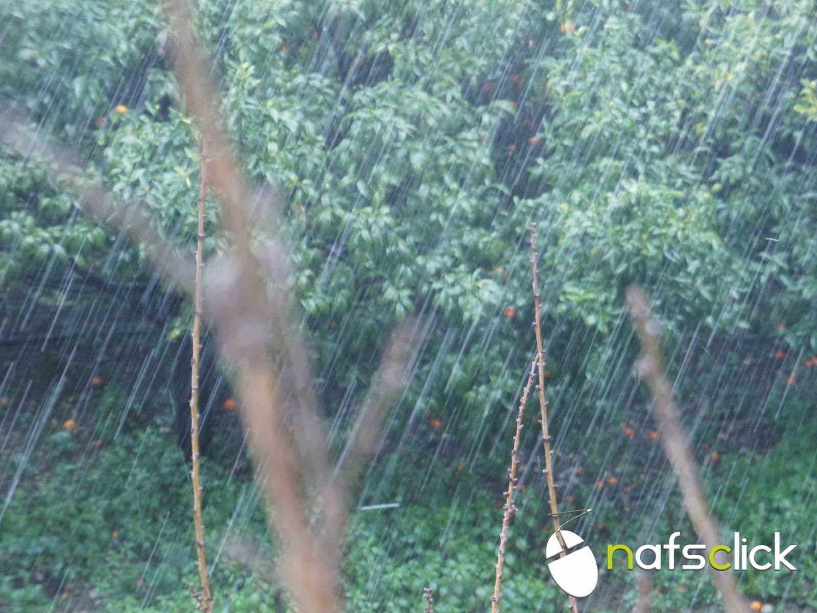 ΦΩΤΟ-Χαλάζι στη Ναύπακτο