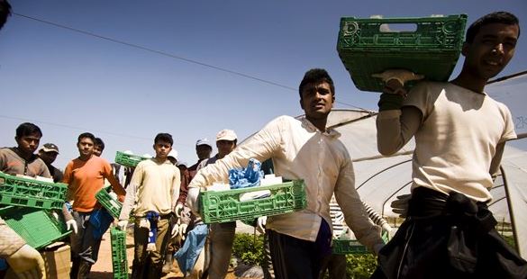 Η Νέα Μανωλάδα… γύρισε-Αστυνομία στην περιοχή