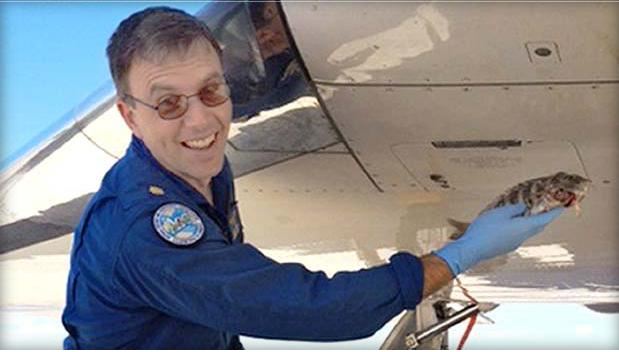 Αεροπλάνο τράκαρε με… ψάρι