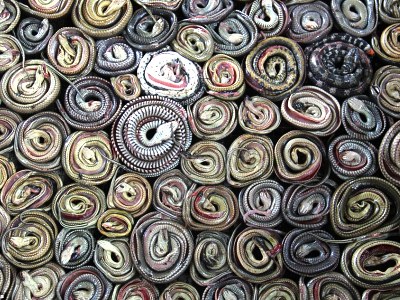 Πώς φτιάχνεται μια τσάντα από δέρμα φιδιού