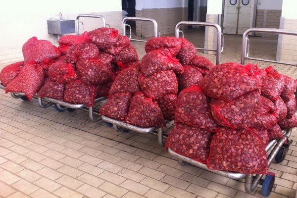 Θα πουλούσε 5 τόνους χαλασμένα όστρακα