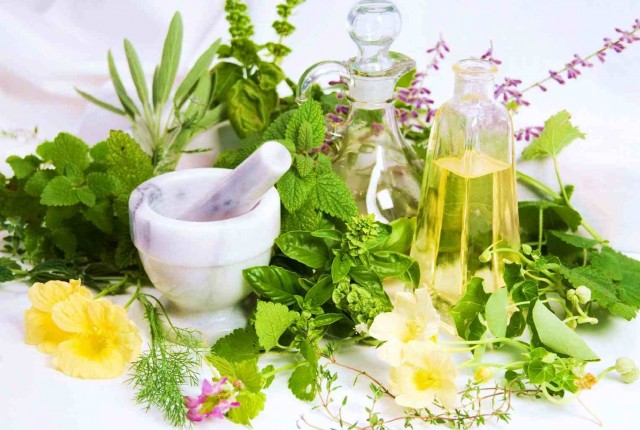 12 βότανα για κάψιμο λίπους