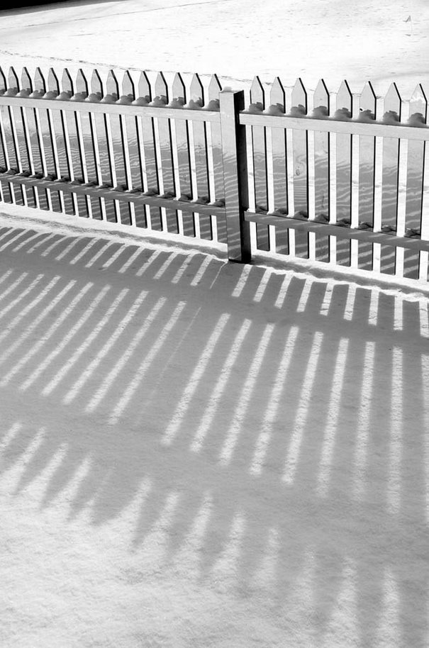 perierga.gr - Φράχτης αλλάζει χρώματα με την εποχή! perierga.gr - Φράχτης αλλάζει χρώματα με την εποχή!