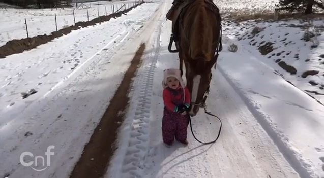 ΒΙΝΤΕΟ-Η 2χρονη Έμμα βγάζει βόλτα το άλογό της