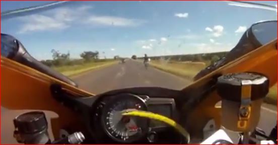 ΒΙΝΤΕΟ-Το… ταχύτερο φίδι στον κόσμο