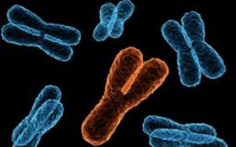 Το τέλος των ανδρών… θα αργήσει